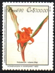 Stamps Brazil -  NIDULARIUM  RUBENA.  PINTURA  DE  MARGARET  MEE.  Scott 2377.