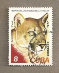 Sellos de Europa - Croacia -  Puma, zoologico de la Habana
