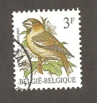 Stamps Belgium -  FAUNA