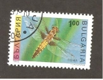 Stamps Bulgaria -  INTERCAMBIO