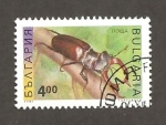 Stamps : Europe : Bulgaria :  INTERCAMBIO