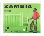 Stamps Zambia -  Maiz