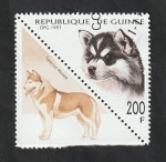 Sellos de Africa - Guinea -  1134 AR - Perro de raza, husky siberiano