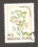 Stamps Hungary -  INTERCAMBIO