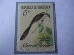 Stamps Venezuela -  Paraulata Llanera-(Sinsonte Tropical o Ruiseñor Tropical) Mimus gilvus.