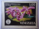 Stamps Venezuela -  Cattleya Lawrenceana RCHB.F. - Lirio Morado -Sociedad Venezolana de Ciencias Naturales.