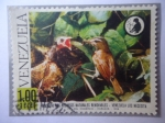 Stamps Venezuela -  Conserve los Recursos Naturales Renovables - Venezuela los Necesita-Plain Xenops (Xenops minutus)