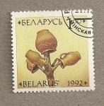 Stamps Europe - Belarus -  Cerámica