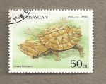 Stamps : Asia : Azerbaijan :  Tortuga