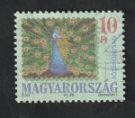 Stamps Hungary -  3819 - Pavo Real
