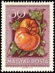 Stamps Hungary -  Exposición Agrícola, Tomates