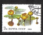 Sellos de Europa - Rusia -  Flores Acuaticas. Nenúfares amarillos (Nuphar lutea)