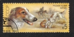 Stamps Russia -  Borzoi (Canis lupus familiaris)