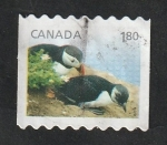 Stamps Canada -  2968 - Fratercula arctica