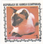Stamps Equatorial Guinea -  gatos de raza