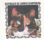 Sellos de Africa - Guinea Ecuatorial -  gatos de raza