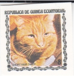 Stamps Equatorial Guinea -  gatos de raza