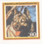 Stamps Equatorial Guinea -  perros de raza