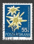 Stamps Romania -  2333 - Flores Protegidas