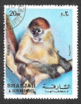 Stamps United Arab Emirates -  Mi1012A - Mono