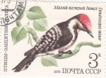 Stamps Russia -  ave