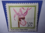 Stamps United States -  Calypso Bulbosa - Calipso Pacifico.