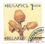 Sellos de Europa - Bielorrusia -  CERAMICA