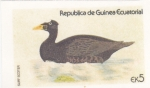 Stamps Equatorial Guinea -  pato