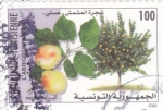 Stamps Tunisia -  fruta