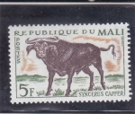 Stamps : Africa : Mali :  búfalo cafre