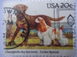 Sellos de America - Estados Unidos -  Chesapeake Bay Retriever- Cocker spaniel (Canis Lupus famili) -Seria:Dogs