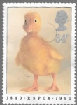 Stamps United Kingdom -  pollito
