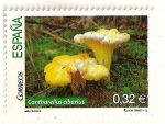Stamps Spain -  Micologia. Cantharellus cibarius.
