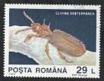 Sellos de Europa - Rumania -  4124 - Descubrimiento de fauna cavernícola en la gruta  Movile, Clivina subterránea