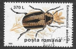Sellos de Europa - Rumania -  4084 - Insecto