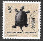 Stamps Poland -  1136 - Tortuga Europea