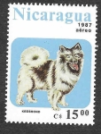 Stamps : America : Nicaragua :  1635 - Perro