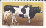Stamps Poland -  VACAS
