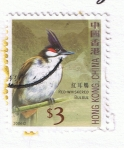 Stamps : Asia : China :  Red Whiskered  Bulbull