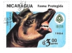 Stamps : America : Nicaragua :  fauna
