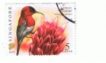 Stamps : Asia : Singapore :  Crimson Sunbird