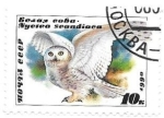 Stamps Russia -  aves