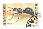 Stamps Bulgaria -  insectos