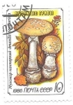 Stamps Russia -  setas