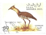 Sellos de Africa - Marruecos -  aves