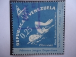 Stamps Venezuela -  Natación - Primero Juegos Deportivos Nacionales - Caracas 1961 - Hacer Deporte es hacer Patria