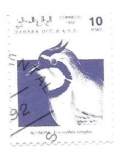 Stamps : Africa : Morocco :  aves