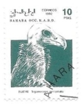 Stamps Morocco -  aves