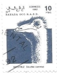 Stamps Morocco -  aves