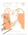 Stamps : Africa : Morocco :  fauna